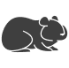 Hamster